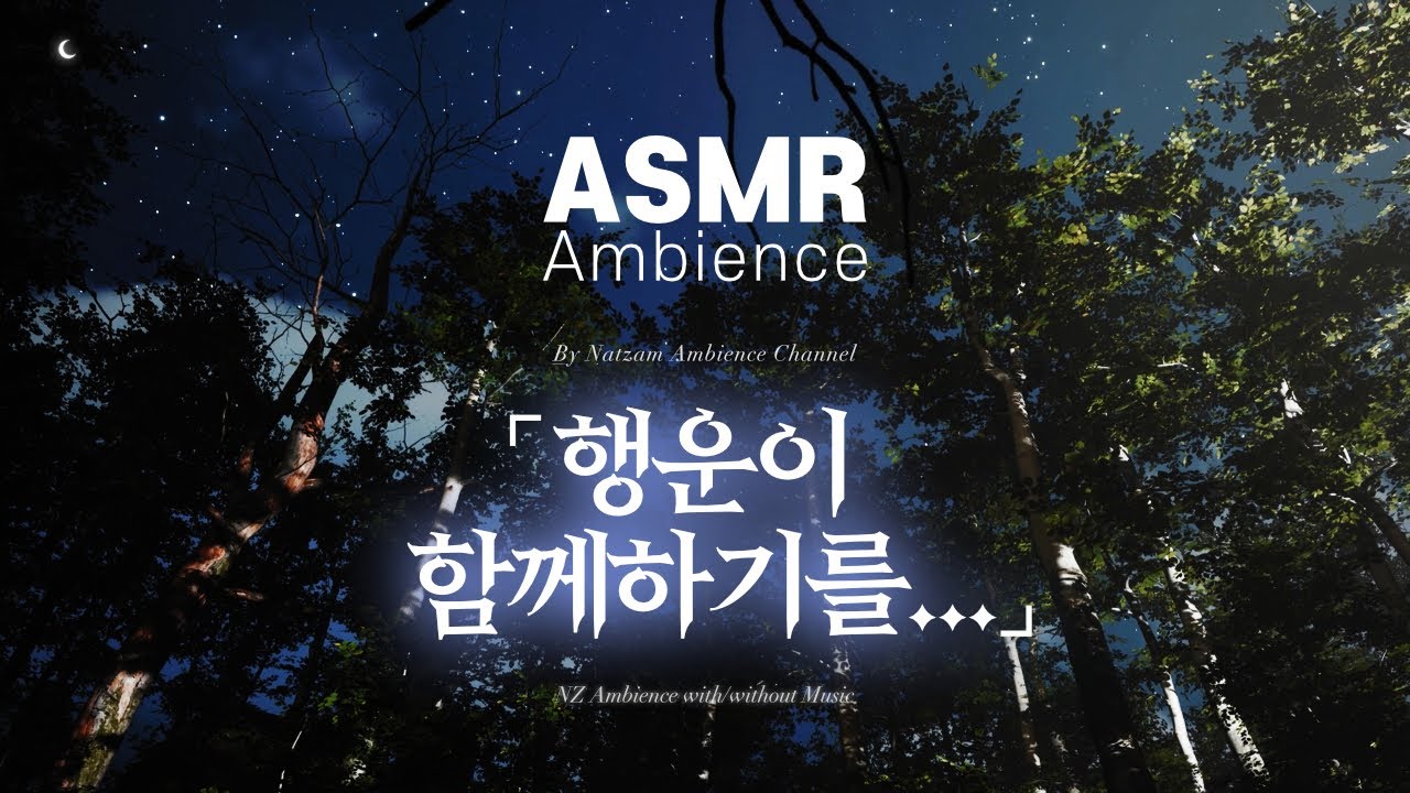 ⌜이번 모험에서도 당신께 행운이 함께하기를...⌟🌙공부할 때・자기 전에 듣는 [RPG 판타지] ASMR - YouTube