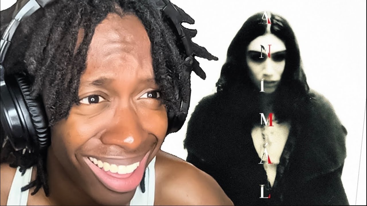 МЕКСИКАНСКИЙ 2ХОЛЛИС! rommulas - РЕАКЦИЯ ЖИВОТНЫХ (EP)