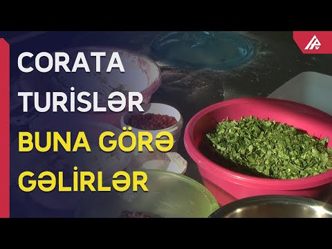 Video: Müxtəlif dərəcələrdə ikibuynuzlu uşaqlıq varmı?