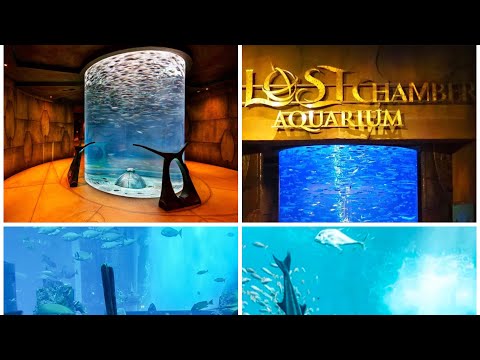 The lost chamber’s Aquarium Atlantis the palm Dubai