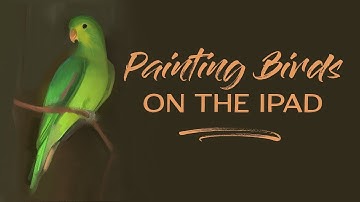 Drawing & Painting Birds in Procreate - Time Lapses