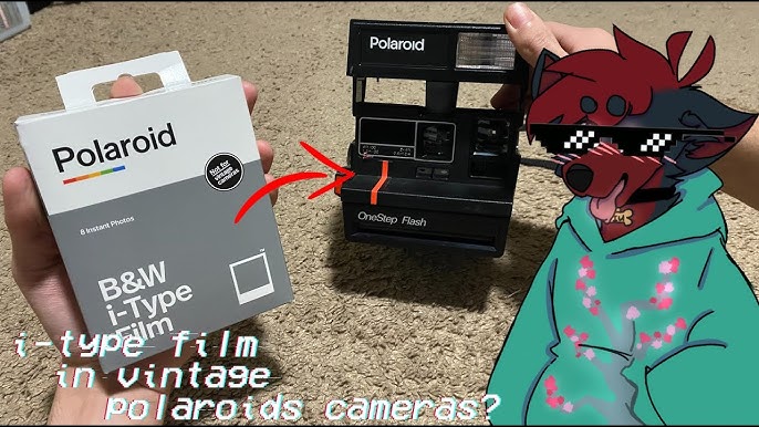 FPS Ep 136 - Polaroid 600 vs I Type Film 