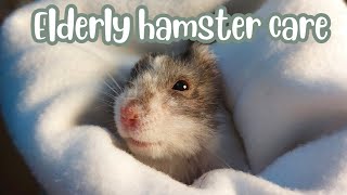 THE REALITY of Elderly Hamster Care...