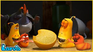 LARVA | LEMON | CARTOON MOVIE FOR LIFE |THE BEST OF CARTOON | HILARIOUS CARTOON COMPILATION