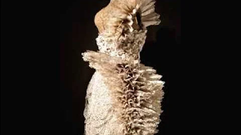 Love At First Sight:  Carrie Ann Schumacher's Roma...