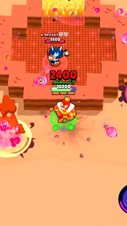 hamsi