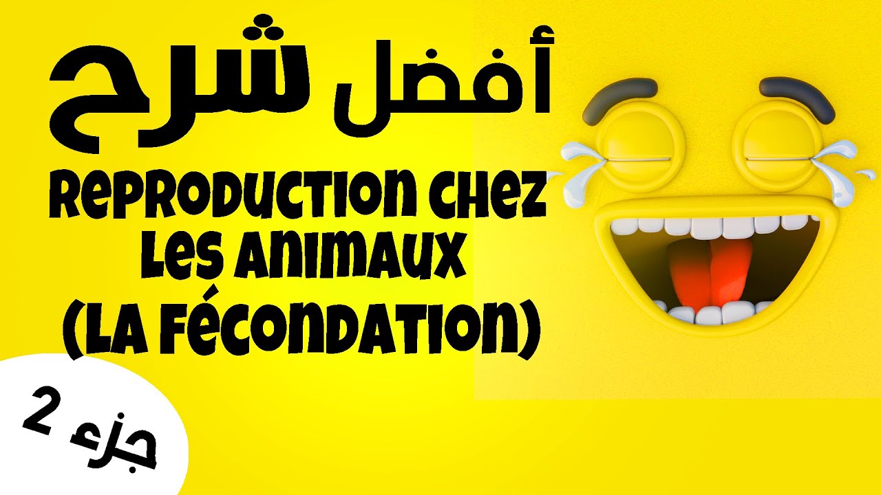 la reproduction chez les animaux 2 année college partie2: la fécondation chez les animaux
