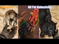 Far Cry 6 - Petting all Companions & Animals (Pet Animations)