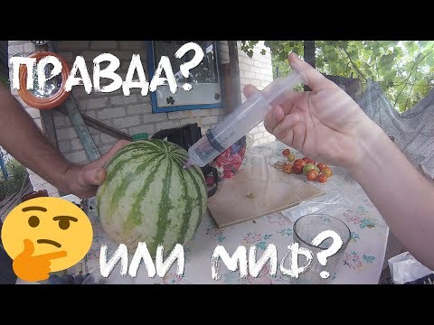 ЧТО будет если накачать арбуз водкой и съесть его? (правда или миф)