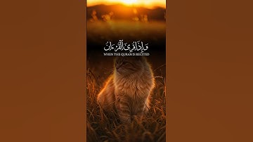 تلاوة عاطفية لا يمكن تخطيها😔🎧 #قرآن #تذكير #راحة_القلب #آيات #إيمان #ذكر