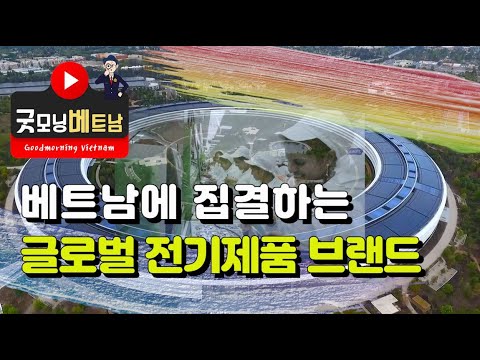 LG전자 생산 라인~ 한국에서 ‘베트남 하이퐁’ 이전!!! 베트남에 집결하는 글로벌 전기제품 브랜드!!!!