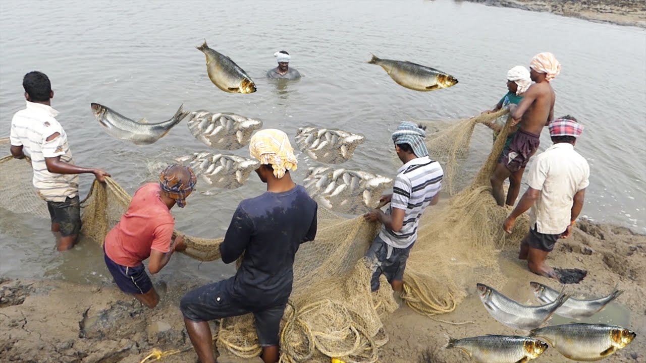 Amazing Live Fishing In River By Village People | Live Fish Catching | KikTV Network