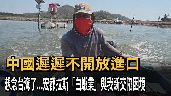 中国进口跳票！宏都拉斯想念台湾了　与我断交「白虾业」陷困境－民视新闻 - 天天要闻