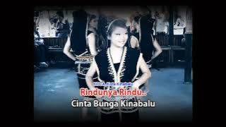 Cinta Bunga Kinabalu -George Lian (Lyrics Video)