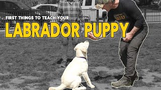 First Things to Teach Your PUPPY  COME and DOWN  Easy Puppy Training with Robert Cabral