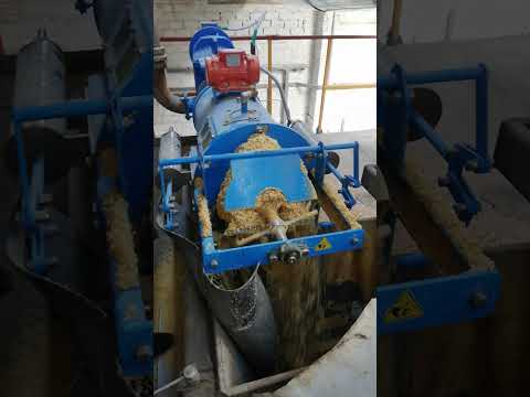 Сепарация зародыша кукурузы. Часть 1