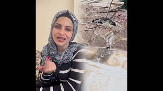 مجموعة فيديوهات مضحكة، أفضل مدونة، أحب عملك @hadeel