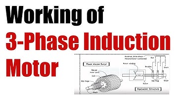 Working Principle of 3 Phase Induction Motor