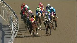 Vidéo de la course PMU PRIX SHORT HEAD FM 74 HANDICAP