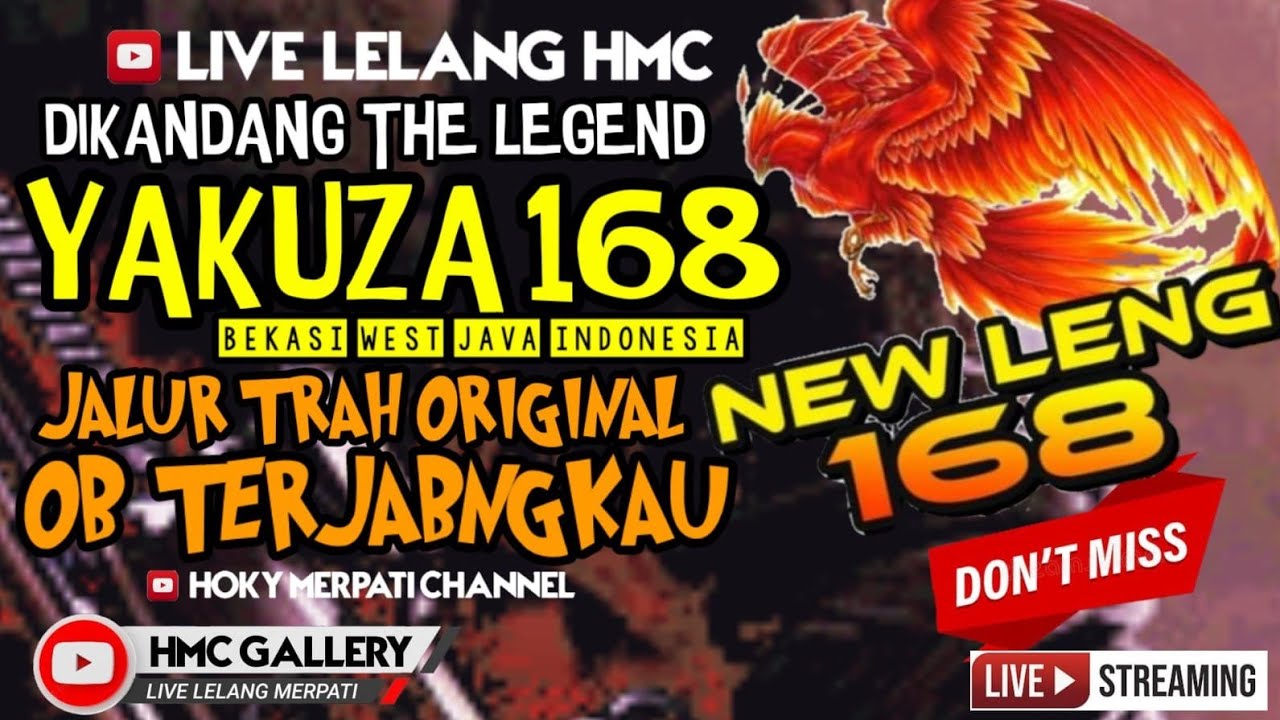 LIVE LELANG HMC//HOKY MERPATI CHANNEL//MERPATI KOLONG//MERPATI MEJA//LIVE LELANG//MERPATI