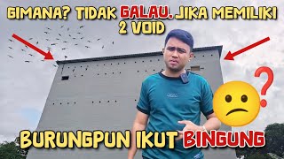 BURUNGPUN IKUT BINGUNG  😕❓ Bagaimana tidak galau. jika memiliki 2 void & tata ruang yg salah.