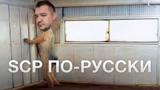 Несостоявшийся русский SCP - Покров-17, Александр Пелевин