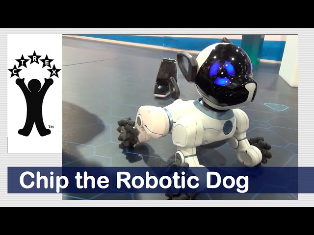 Chip the Robotic Dog - YouTube