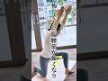 怖いくらい腸腰筋強くなる!