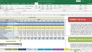 Video 12: FLUJO DE CAJA