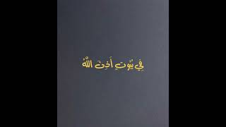 يهدى الله لنوره من يشاء | القارئ عبدالله مصطفى #قرآن#قرآن_كريم #ارح_قلبك #مسلم  #آيات #explore