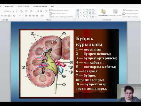 Шотландиялық секс