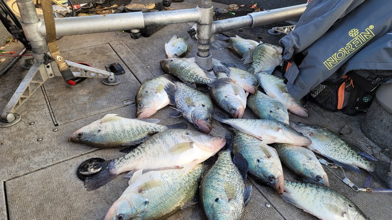 Как и где найти скопления краппи в МАРТЕ 2024 (преднерестовая рыбалка)