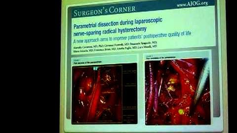 Sego 2011 Honorary Membership Ceremony