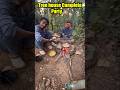 aaj tree house me soye ge or cooking kare ge or 24 house survival kare ge |