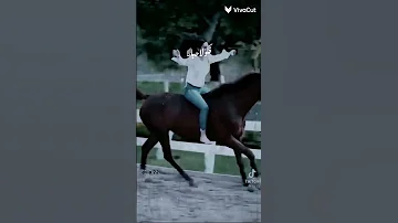 و المهرة بتعرف خيالا سكابا الاخرس اكسبلور لايك اشتراك 