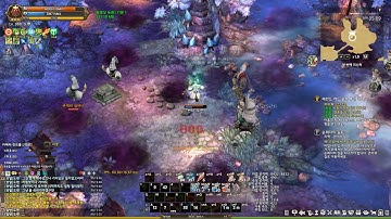 [TOS] (Wiz-Element-Rune-Feather) Unique Raid Solo Play (Boss)