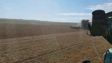 Combining lentils 2019
