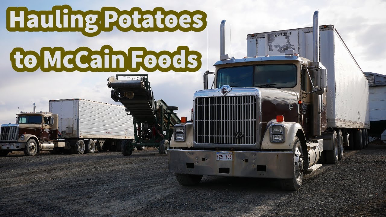 Hauling Potatoes to McCain Foods