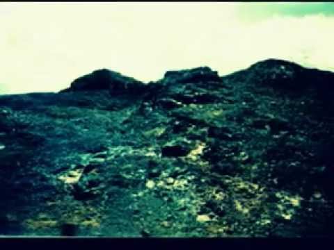 محمود الليثى دعاء الانبياء