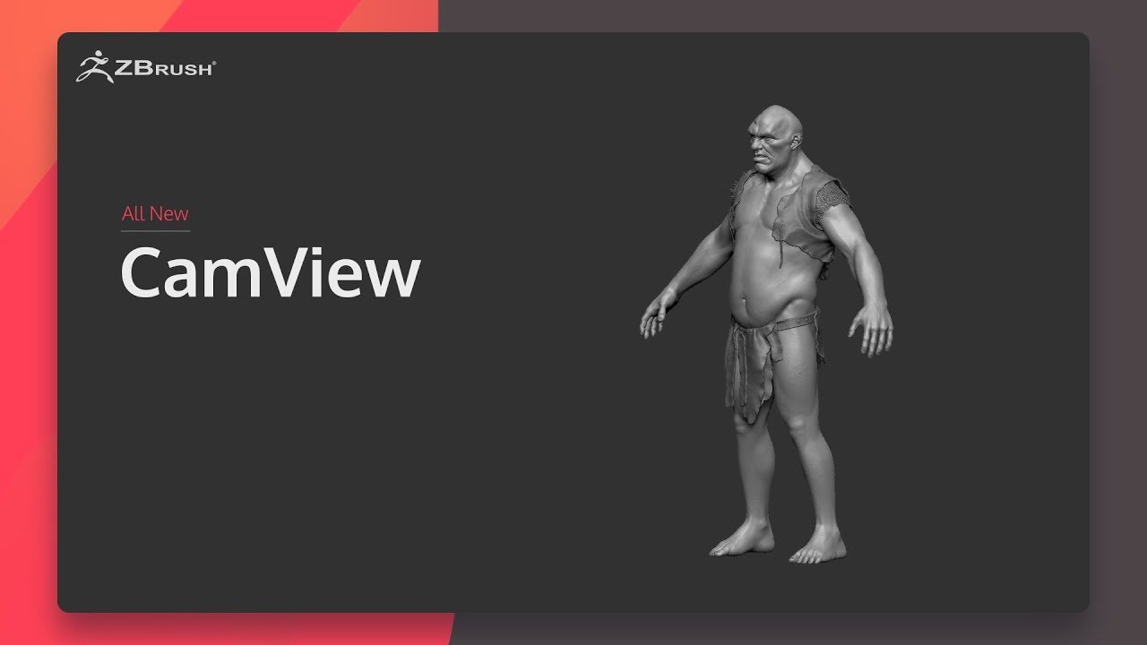 zbrush camview not showing