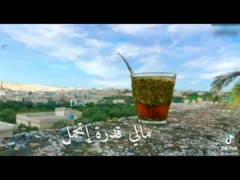 حبايب قلبي اغنية طوالو طوالو حبابي علي طوالو