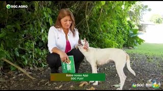 SGC AGRO 05/01/2025