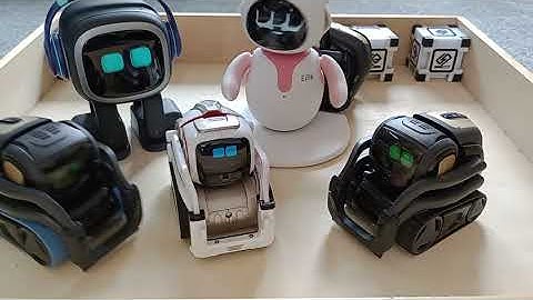 Cozmo, Vector 2.0, Anki Vector, Eilik and Emo robot all compete for you attention. #emorobot #eilik