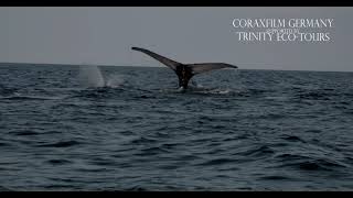 TRINITY 2022