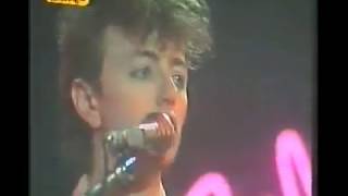 Stray Cats - Wasn`t that good - Live Musical Express 1982