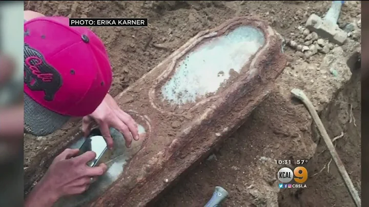 Child's Century-Old Casket Found Under Home