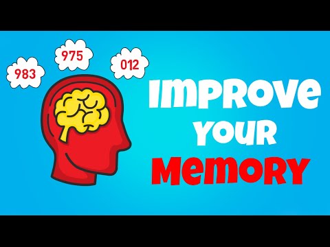 How To Improve Your Memory