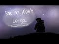 Say You Won’t Let Go | Dreamnotfound Animatic |