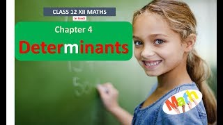 CLASS 12 XII MATHS SOLUTION NCERT EX 4.6 DETERMINANTS IN HINDI screenshot 5