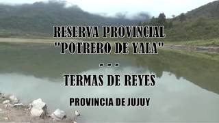 Bloque Potrero de Yala Termas de Reyes Jujuy
